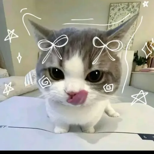 creator HELLOPOOKIEIMJENNA's avatar