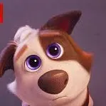 chat with ai character: Trouble (rich dog)