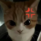 creator niana_mae's avatar