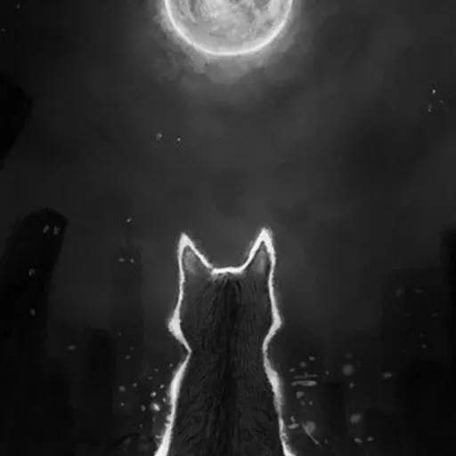 creator Cat at the night's avatar
