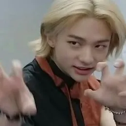 creator StrayKids °v°'s avatar