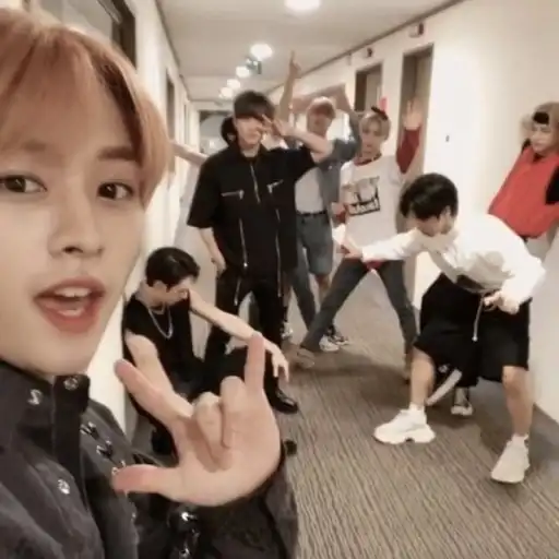 creator SKZ World's avatar