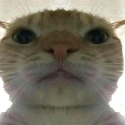 creator ᵍᵘʳˡᵃˡᵒ (ˢʸ ʷʳᶦᵗᵉ)'s avatar
