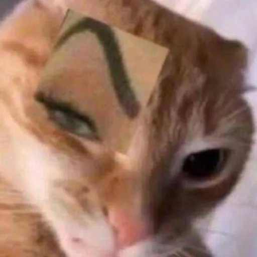 creator Gamma Jack Fan🤑🤑🤙🤙's avatar