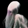 creator I'm Hate My Body's avatar