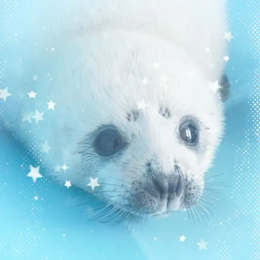 creator dori's pee cabinet's avatar