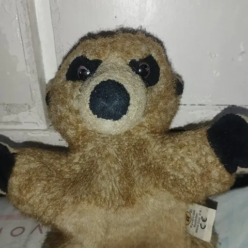 creator evil puppet's avatar