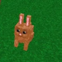 creator Talkior-8rjoCRPX's avatar