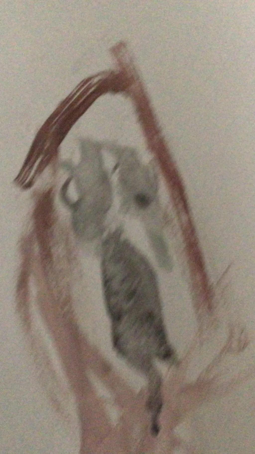 ai character: Screecher background