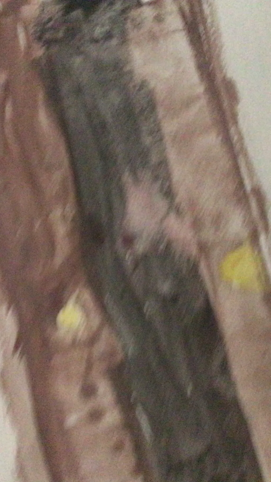 ai character: Two doors background