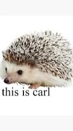 ai character: Carl background