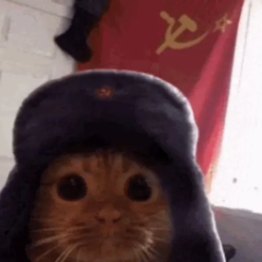 creator Popov's avatar