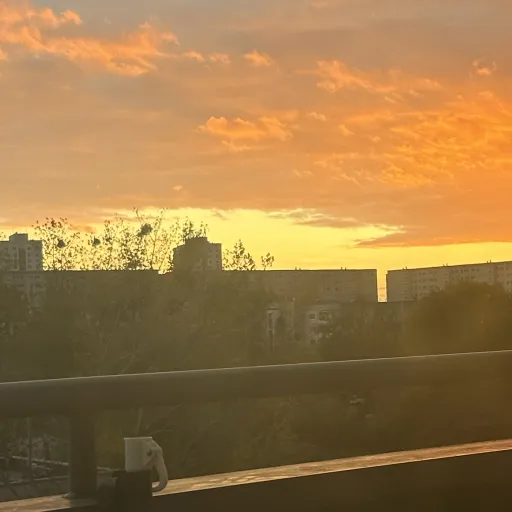 creator :) imme :)'s avatar