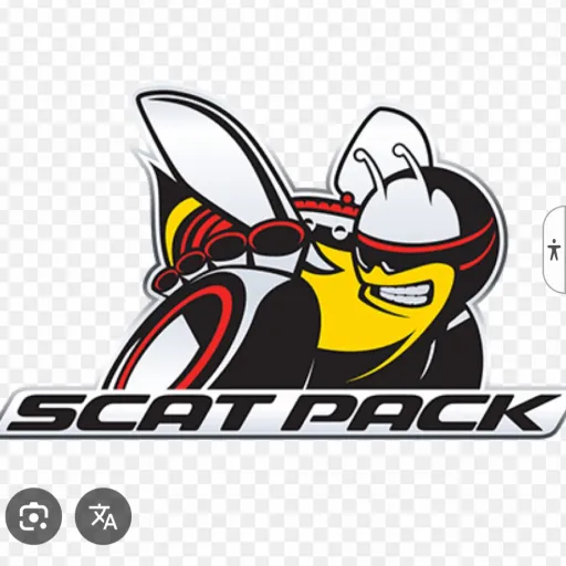 creator Scat pack🐝's avatar