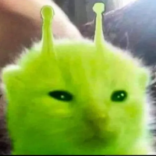 creator kon elliot's avatar