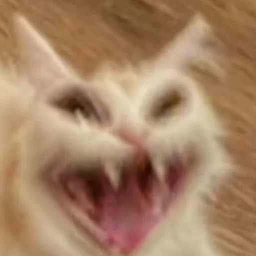 creator ПуПсЯ👁️🫦👁️'s avatar