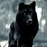 creator • _Мертвец_ •'s avatar