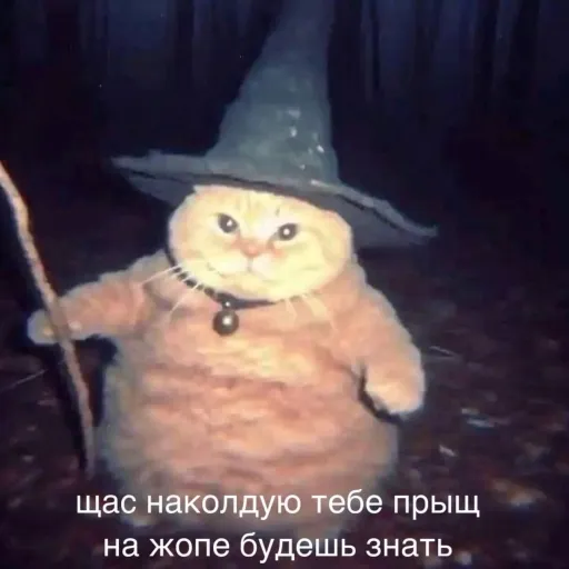 creator Ольга Ларукова's avatar