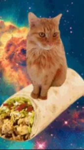 ai character: Canlo background