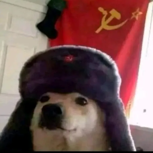 creator ⚒️Soviets Union⚒️'s avatar