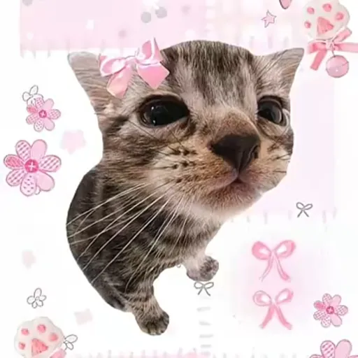 creator ☆🍪-^~Cosmos~^-🍪☆'s avatar