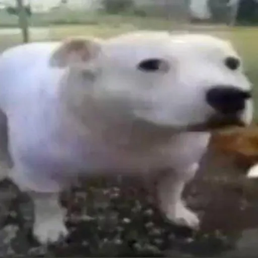 creator ⭐-✿-🍰~Eunoia~🍰-✿-⭐'s avatar