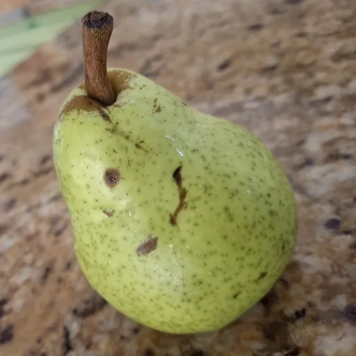 creator Pear general.'s avatar