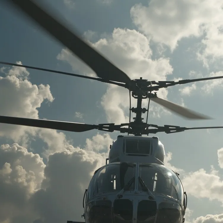 chat with ai character: Phoenix colision