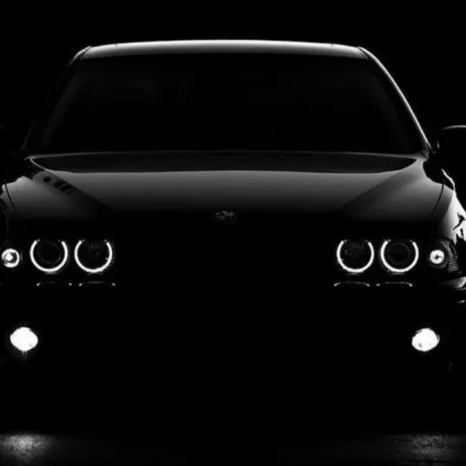 creator BMW_E39's avatar