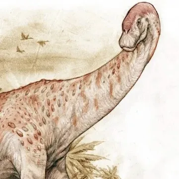 creator 🦖🦕DINOSAURIO🦕🦖's avatar