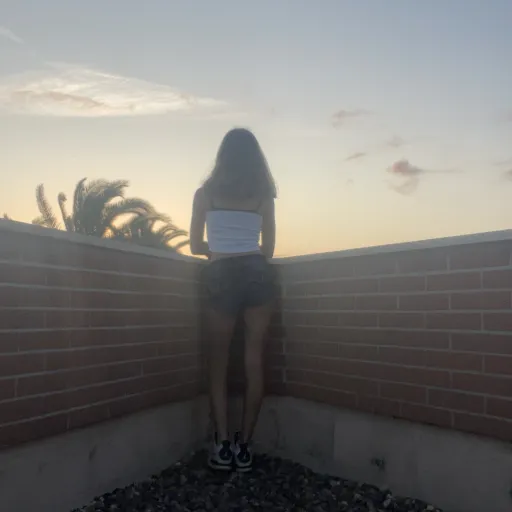 creator Clarissa smeraldi's avatar