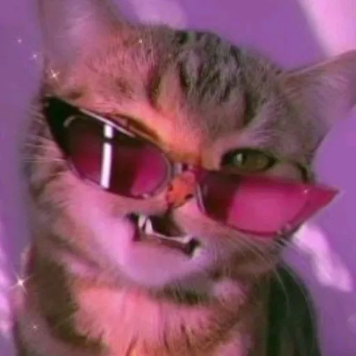 creator anllii2's avatar