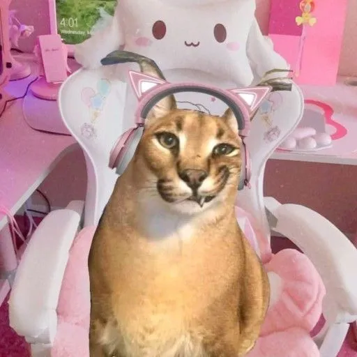 creator cristom Star's avatar