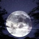 chat with ai character: kai