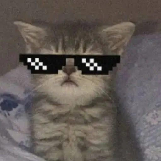 creator PisiPisi💖's avatar