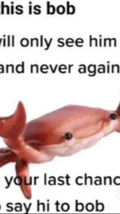 ai character: bob background