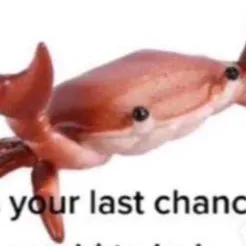 chat with ai character: bob