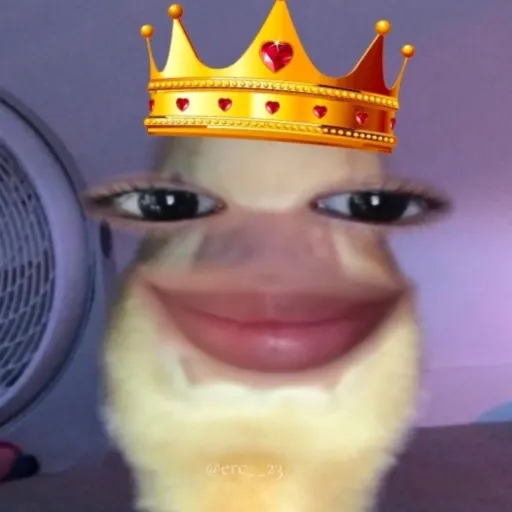 creator heather౨ৎ's avatar