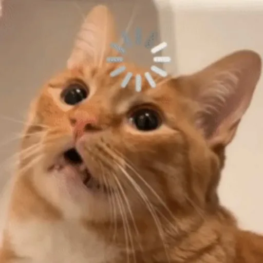 creator SaltSiren's avatar