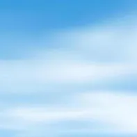 chat with ai character: Furri