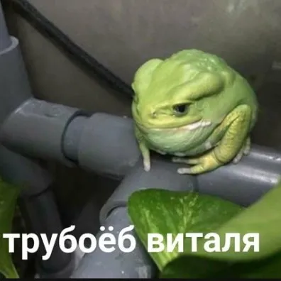 creator ..𝖘𝖆𝖒𝖚𝖗𝖆𝖎..'s avatar