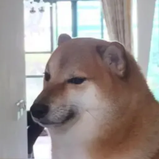 creator Nick the pro's avatar