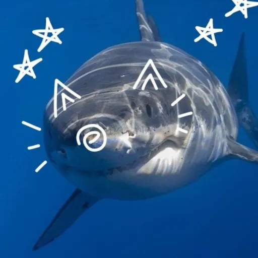 creator shark cupcake's avatar
