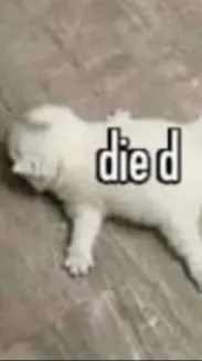 ai character: Mha background