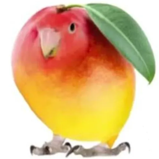 creator whymmee's avatar