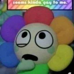 creator ✨Vanity✨'s avatar