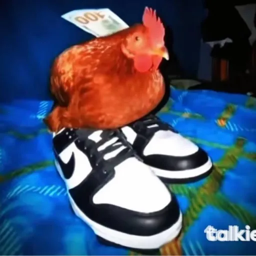 creator 🐓 CHICKEN BAKAA's avatar