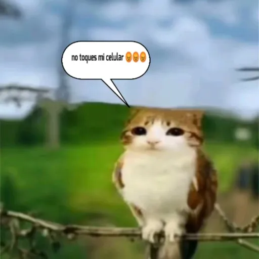 creator 🍵тєιѕнσωѕ🍵's avatar