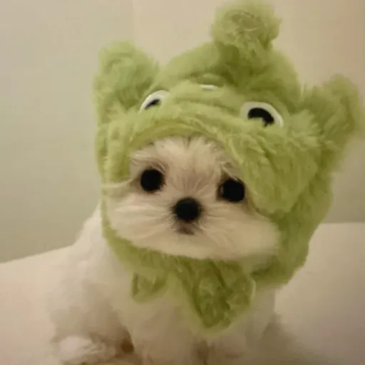 creator @Nicki_896's avatar