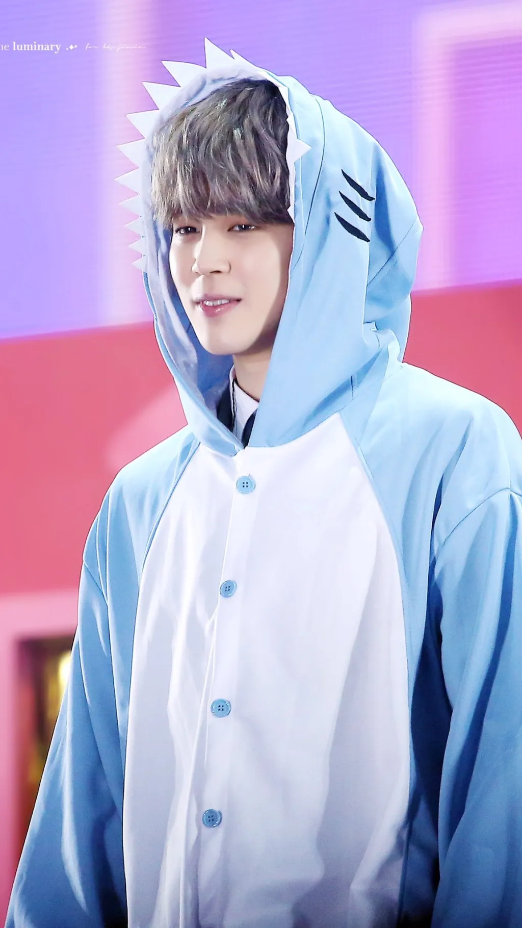 ai character: Jimin background